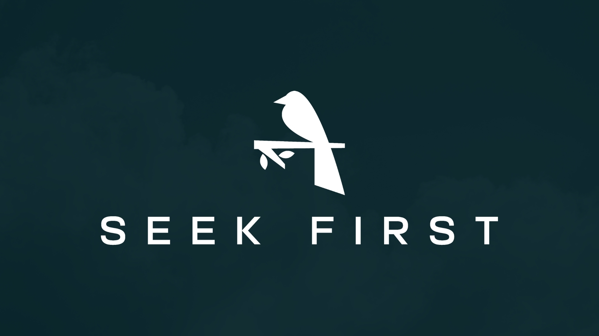 What is Seek First?